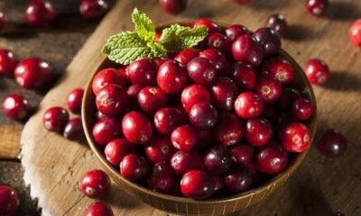 cranberry-seed-oil-header