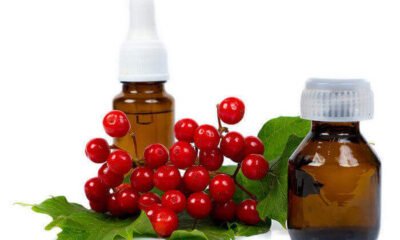 Cranberry Seed Oil