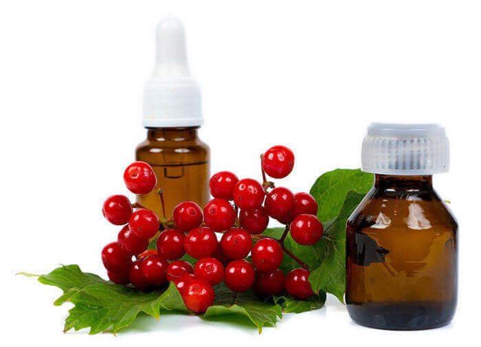 Cranberry Seed Oil