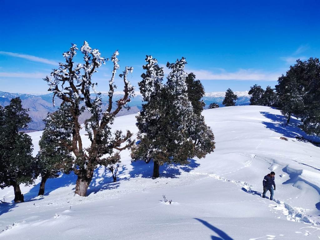 Trekking in the Himalayas