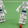 Small-Sized Soccer Playing Robot