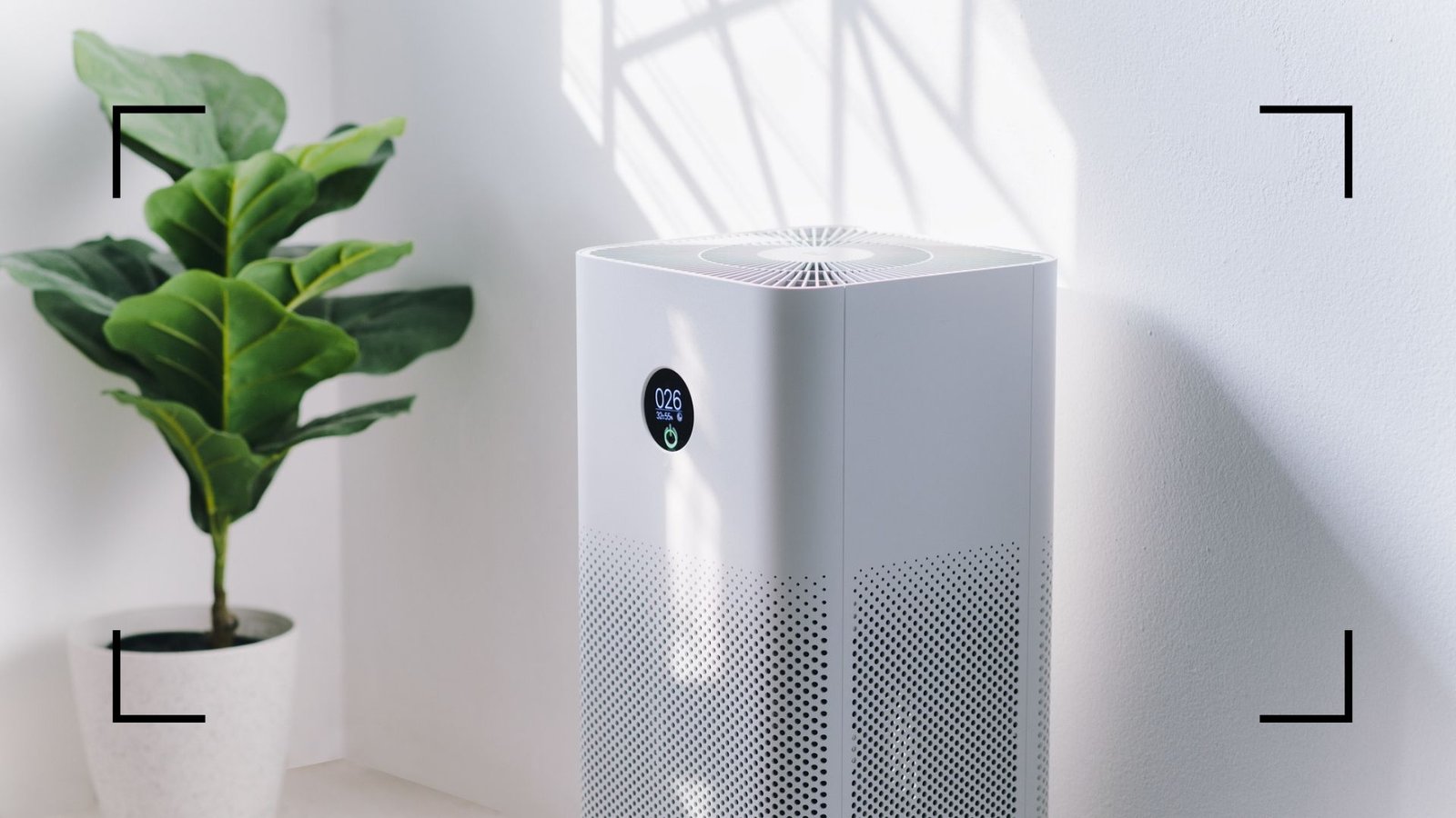 Air Purifiers Have 8 Benefits