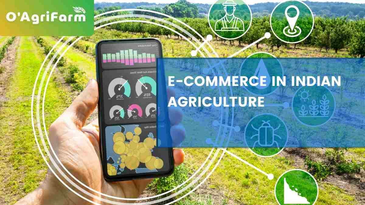 E-Commerce in Indian Agriculture,