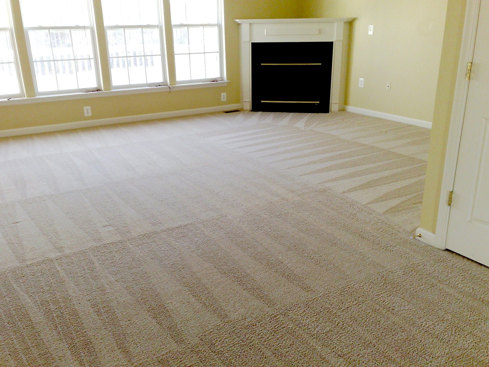 Proficient Carpet Cleaning versus Do-It-Yourself Carpet Cleaning