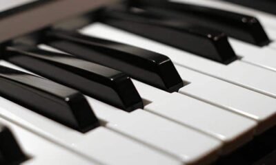 Why Piano Keys Are Black And Whit