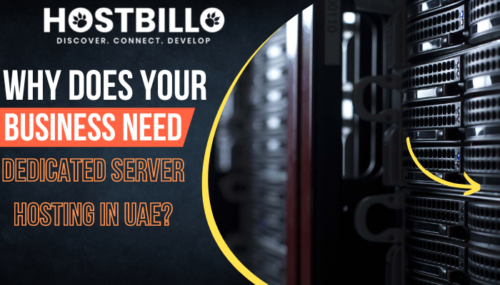 Why Does Your Business Need Dedicated Server Hosting in UAE?