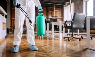 best pest treatment services in Louisville KY