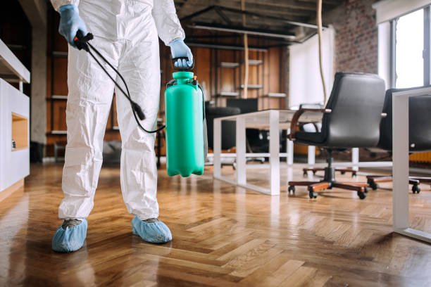 best pest treatment services in Louisville KY