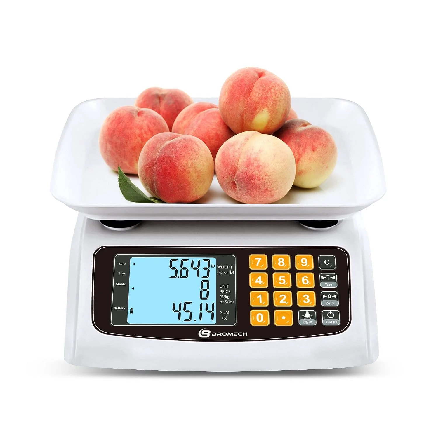 Commercial Food Scale