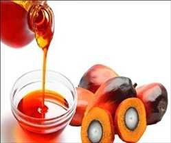 Global Palm Oil Market