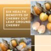 Six Health Benefits of Cherry Cut Leaf Ground Cherry