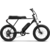 fat tire e-bike