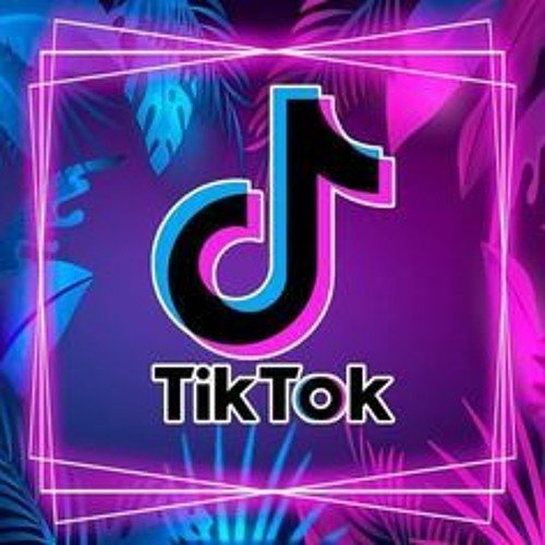 tiktok mashup