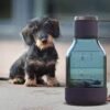 Gift for dog lovers asobubottle.com