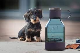 Gift for dog lovers asobubottle.com