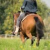 Horse riding clothing And equestrian clothing for riders