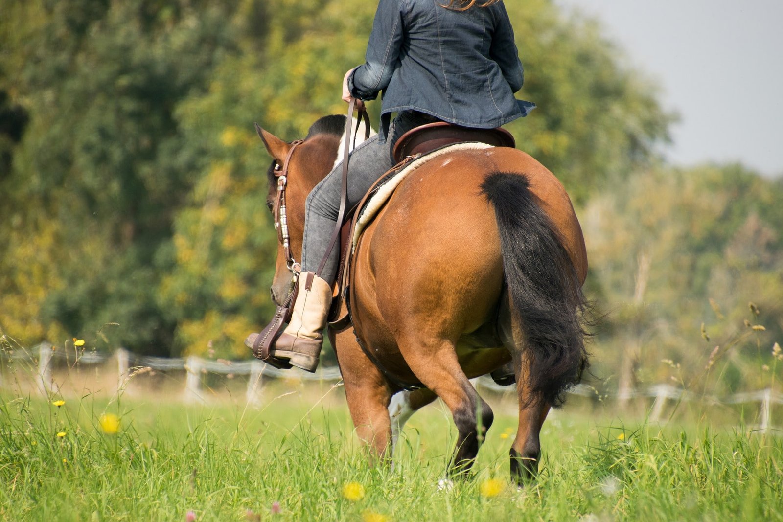 Horse riding clothing And equestrian clothing for riders