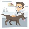 how often should I take my dog to the vet?