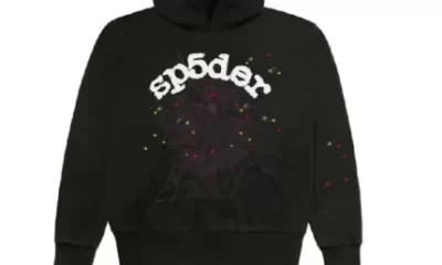 Introduction to the Sp5der Hoodie and T-shirt