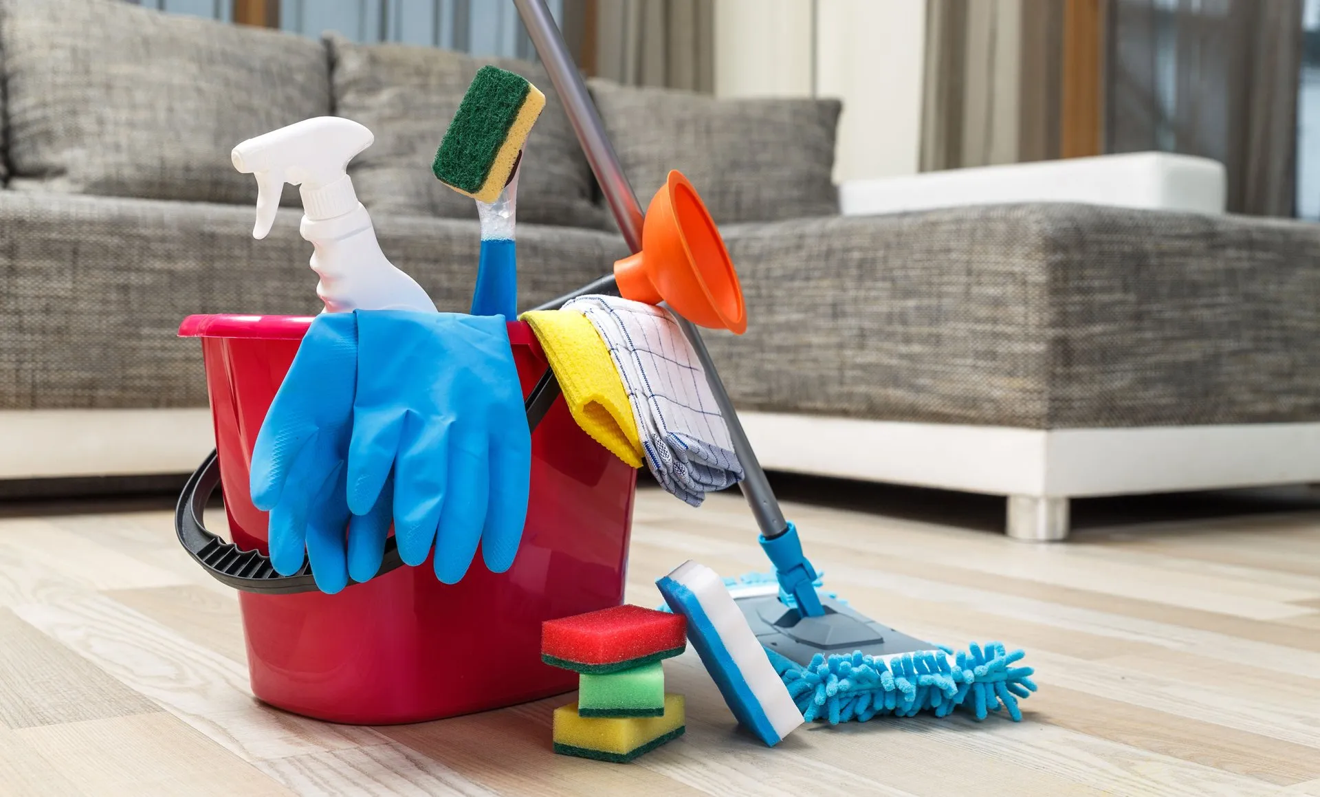 Home Harmony The Art and Science of Domestic Cleaning