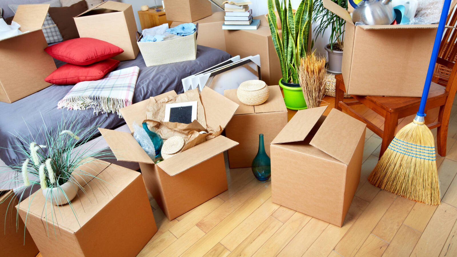 Simplifying House Removals in Camden: A Comprehensive Guide