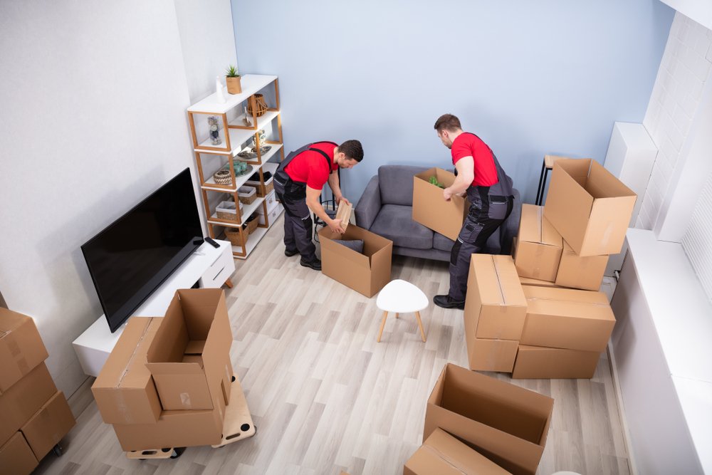 Simplifying Your Move: House Removals Near Me