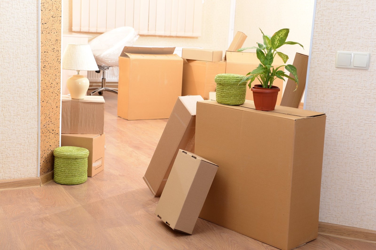 Finding the Best House Removals Near Me: A Complete Guide