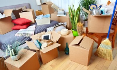 London House Removals: Stress-Free Relocation Solutions