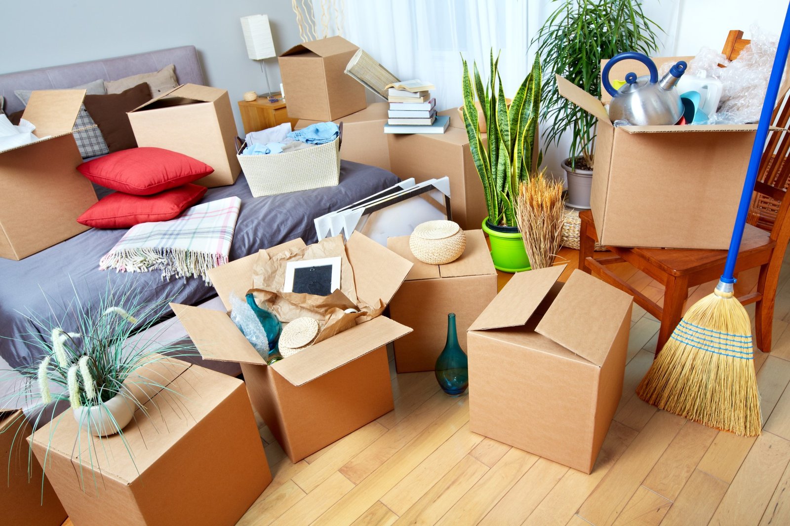 London House Removals: Stress-Free Relocation Solutions