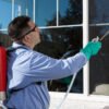 Pest Control Mississauga: Effective Solutions for a Pest-Free Home