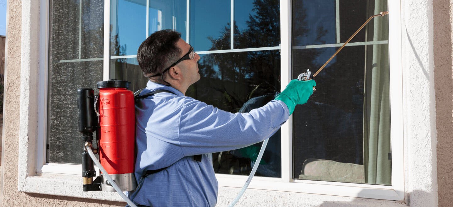 Pest Control Mississauga: Effective Solutions for a Pest-Free Home