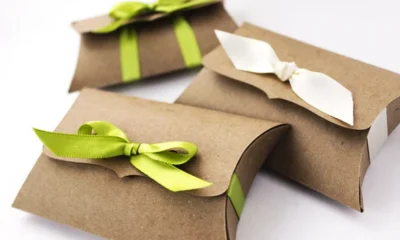 Custom Pillow Boxes Wholesale: The Perfect Packaging Solution for Your Brand