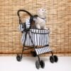 Paws on the Go: Enhancing Your Cat’s Life with Cat Strollers