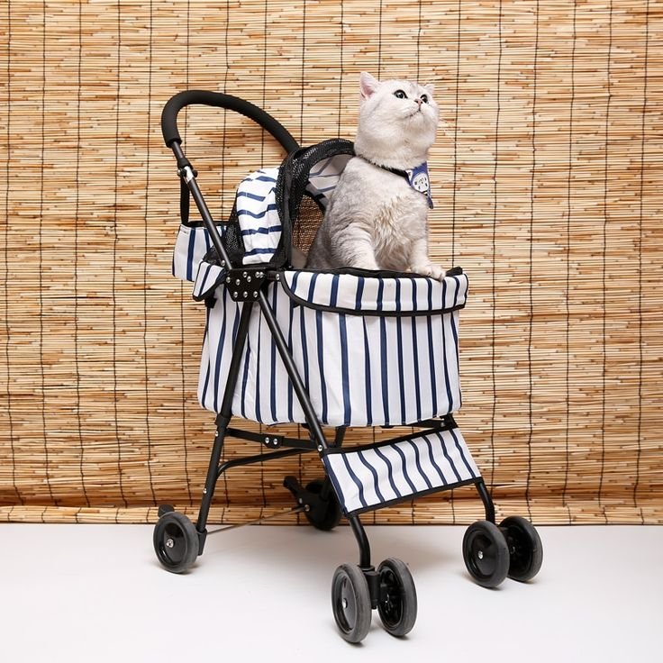 Paws on the Go: Enhancing Your Cat’s Life with Cat Strollers